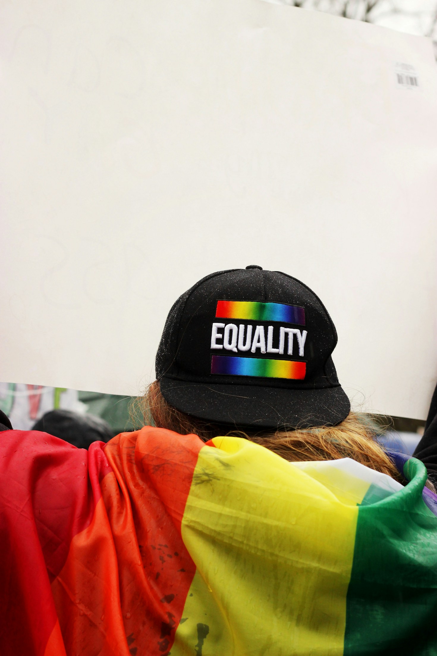 Understanding Constitutional Values and Their Importance